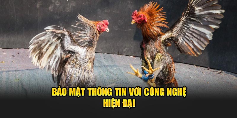 Bảo mật thông tin với công nghệ hiện đại