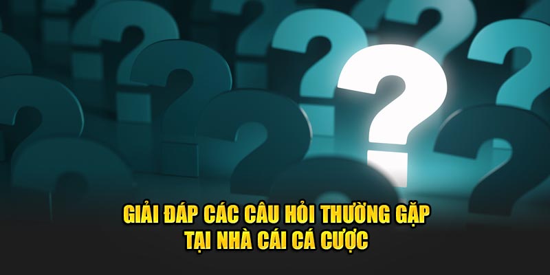 Giải đáp các câu hỏi thường gặp tại nhà cái cá cược